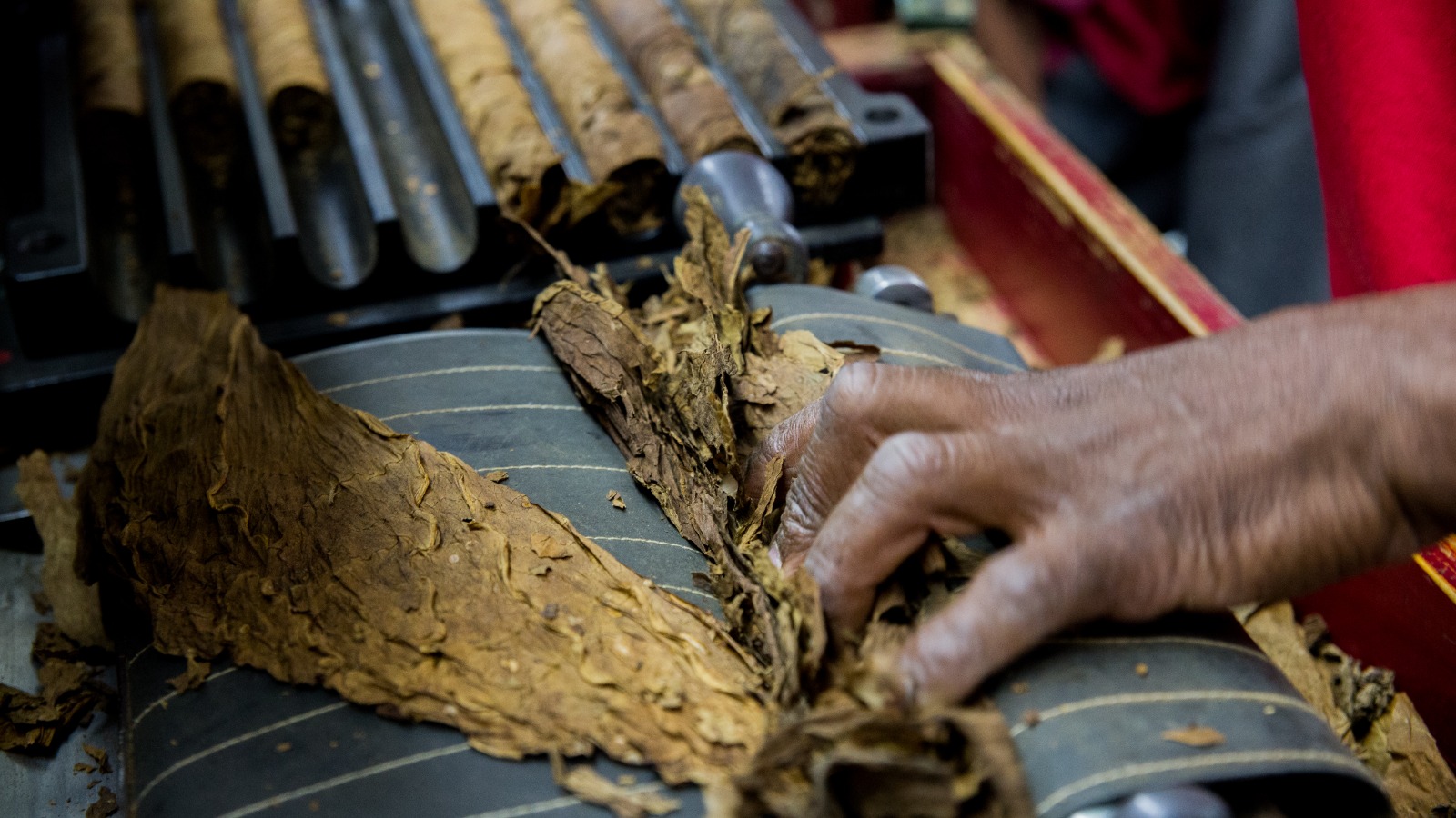 Fábrica de Tabaco en República Dominicana